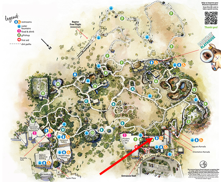 Museum map showing location of Couch's Spadefoot