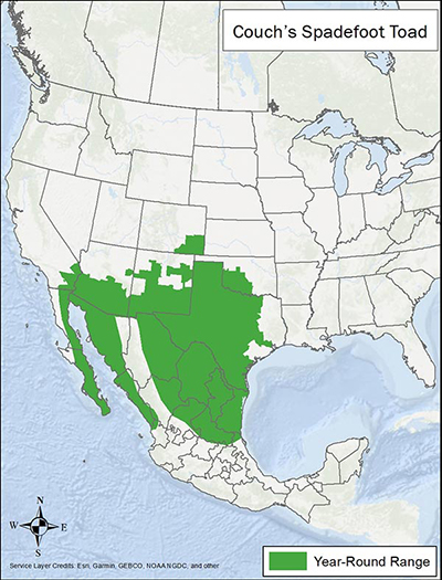 Range Map for Couch's Spadefoot
