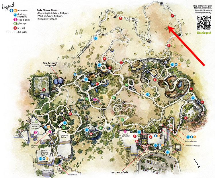 Museum map showing location of Coyote