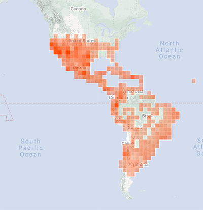 Range Map for Pepsis Wasp