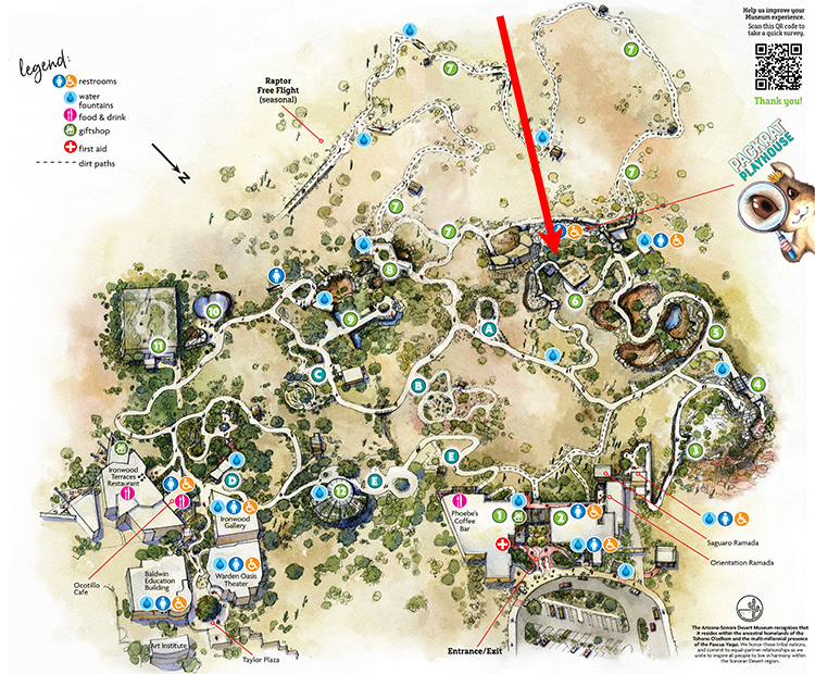 Museum map showing location of Turkey Vulture