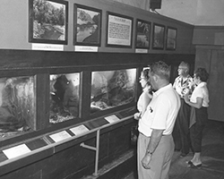 Small_Animal_Room, circa 1950s