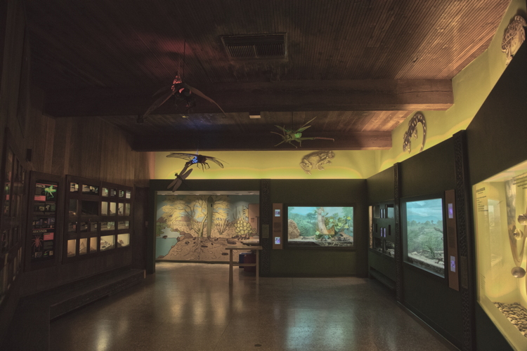 reptiles_invertebrates_room.jpg