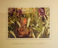 Thumbnail of Nick Wilson - American Wildlife - circa 1970s