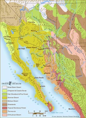 Map of the Sonoran Desert