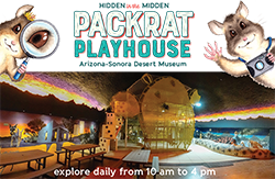 Photo of Packrat Playhouse