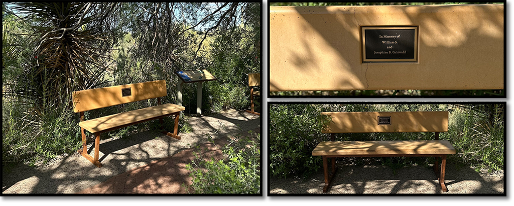 Three Memorial Benches on grounds