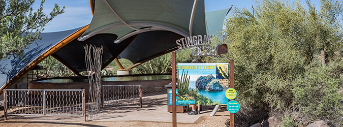 Stingray Touch Exhibit Entrance