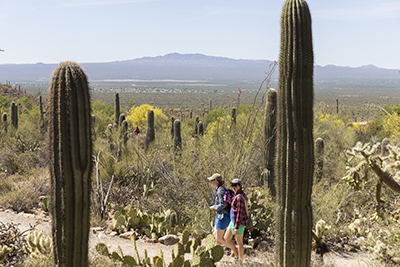 Two college students walk the museum grounds on a path surrounded by desert vegetation