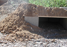 Dirt placed on top of plywood