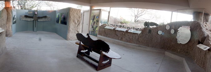 Vulture Culture Exhibit Overview