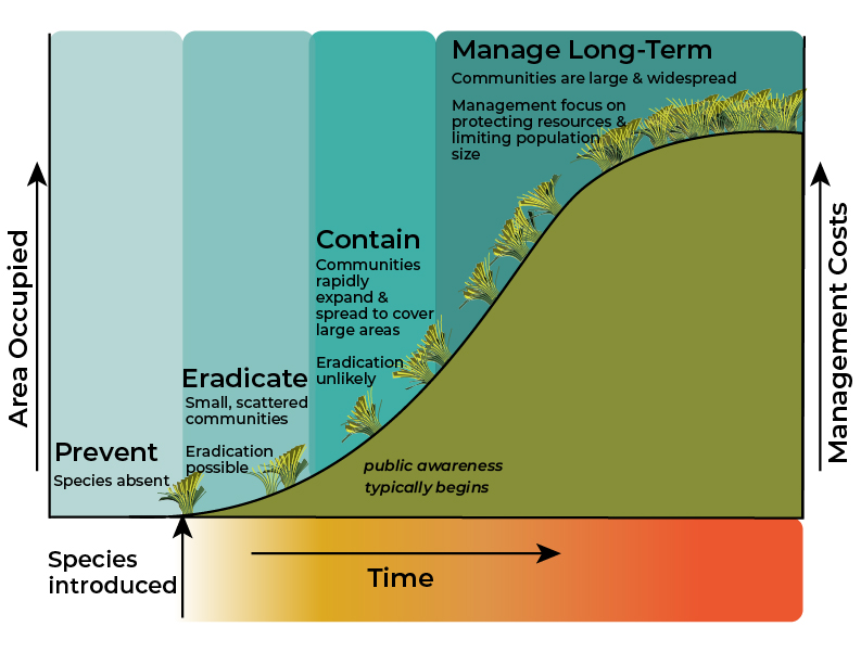 Figure 1. The invasion curve. Adapted from Invasive Plants and Animals Policy Framework, State of Victoria, Department of Primary Industries, 2010.